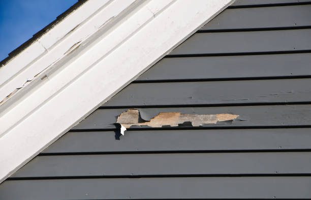 Affordable siding repair and maintenance services in Woodmere, LA